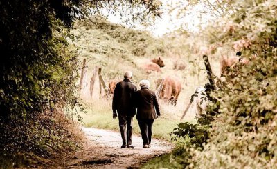 谁照顾老人谁就能继承遗产吗 不赡养老人没有继承权么