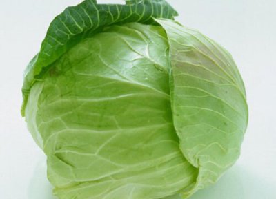 卷心菜品种 卷心菜什么季节成熟
