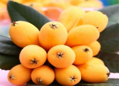 枇杷放冰箱好还是不放冰箱好 新鲜枇杷怎么保存放得更久