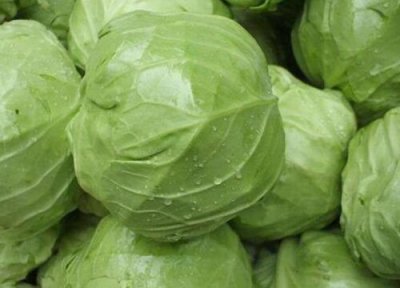 甘蓝亩产量多少斤 甘蓝亩产量一般多少斤