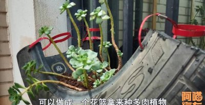 废旧轮胎如何利用 旧轮胎除卖给修车店还有什么方法