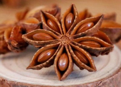 八角种子催芽方法与步骤 八角种子怎样育苗