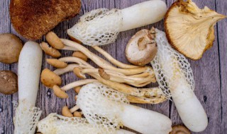 大棚蘑菇种植方法 大棚蘑菇怎么种