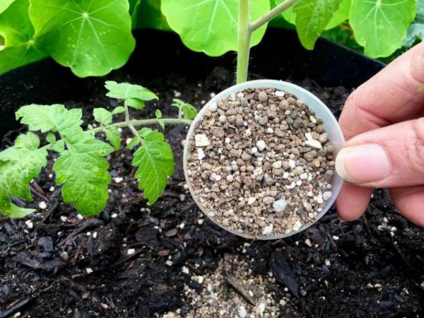 复合肥撒施效果怎么样