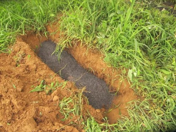 复合肥撒施效果怎么样