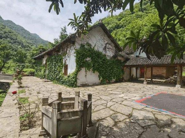 乌鸦飞进家里什么征兆