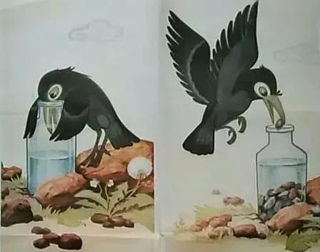 乌鸦飞进家里什么征兆