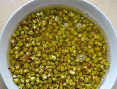 自己发的绿豆芽有毒吗