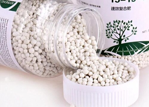 多肉植物复合肥怎么使用