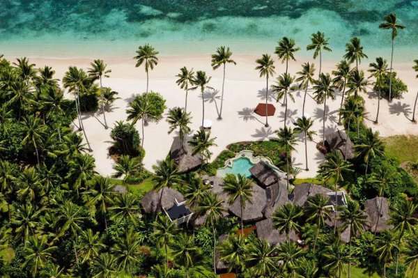 西米来自哪里介绍