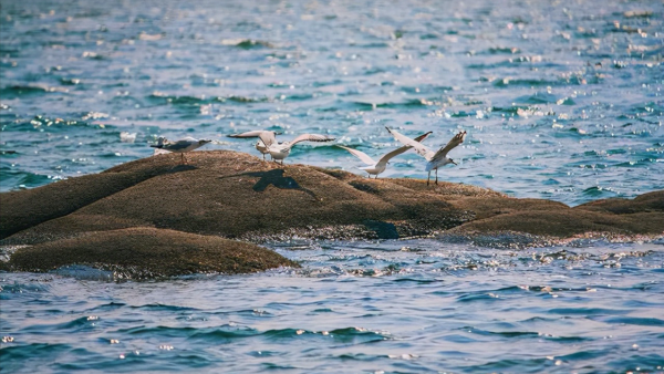 秦皇岛在哪个省