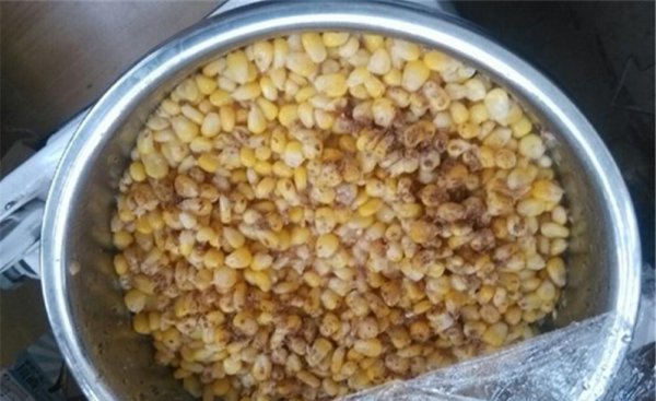 什么饵料钓鲤鱼最好