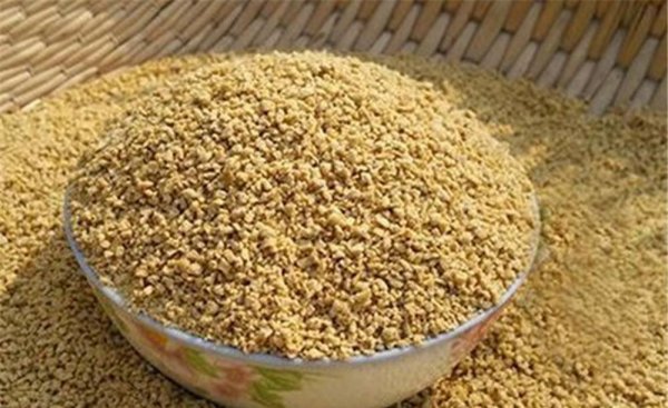 什么饵料钓鲤鱼最好