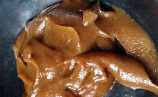 什么饵料钓鲤鱼最好