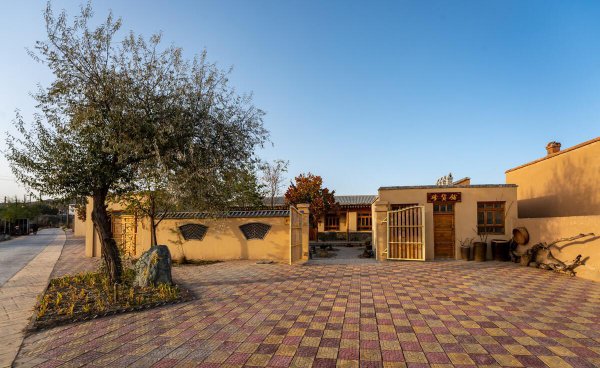 门口栽什么树镇宅旺财吉利富贵