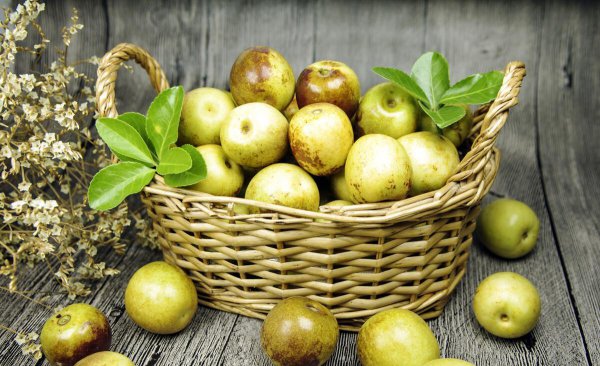 门口栽什么树镇宅旺财吉利富贵