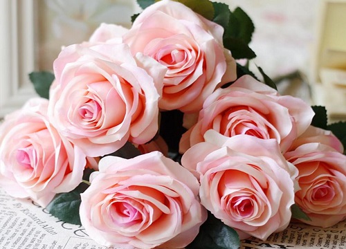 玫瑰代表什么象征意义