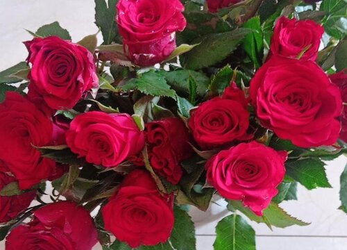 玫瑰代表什么象征意义