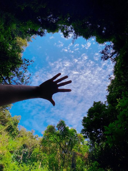 中国第二大岛是哪里