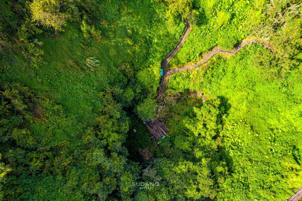 中国第二大岛是哪里