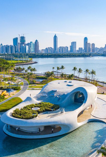 中国第二大岛是哪里