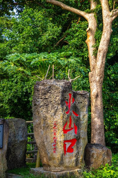 中国第二大岛是哪里