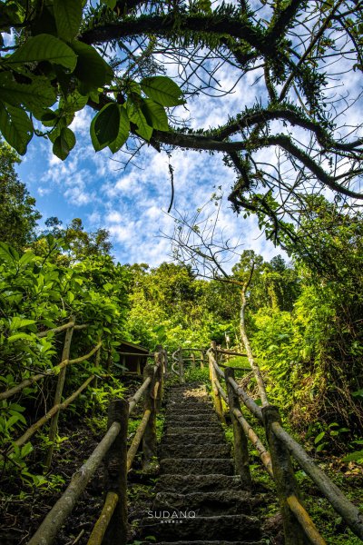 中国第二大岛是哪里