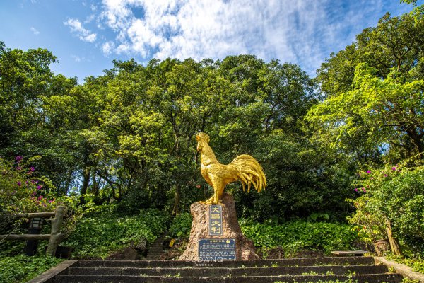 中国第二大岛是哪里