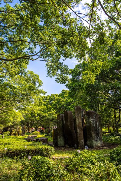 中国第二大岛是哪里