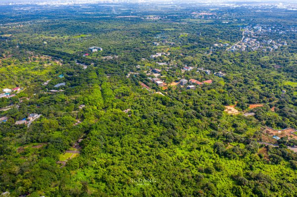中国第二大岛是哪里