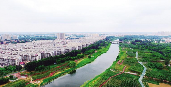 泊头属于哪个省哪个市