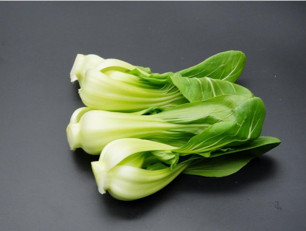 一年四季可种的水培蔬菜品种