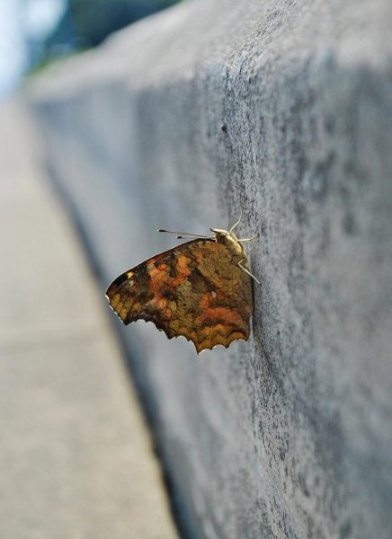 四季划分时间月份