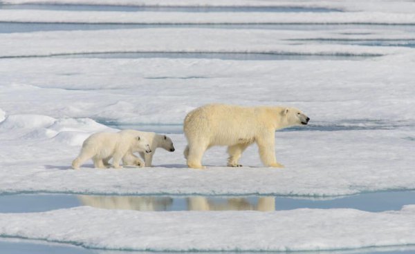四季划分时间月份