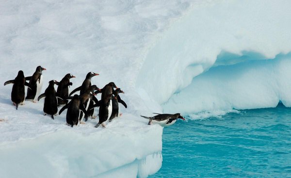 四季划分时间月份