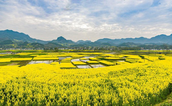 四季划分时间月份