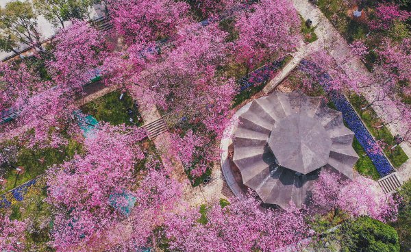 四季划分时间月份