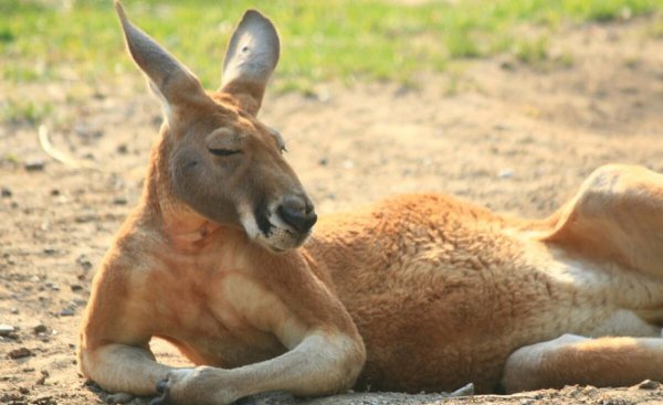 四季划分时间月份