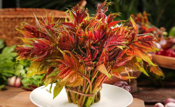 四季划分时间月份