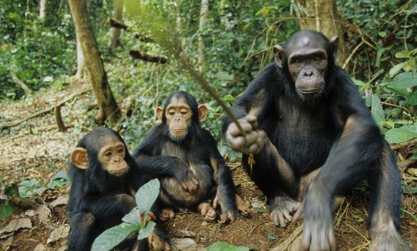 四季划分时间月份