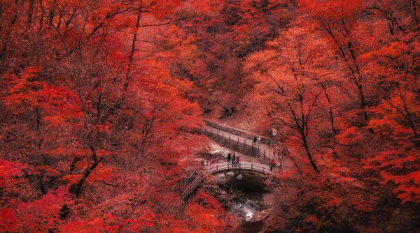 四季划分时间月份