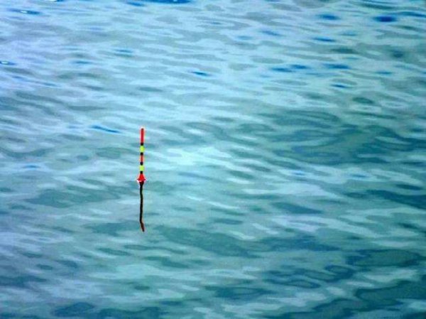 无钩调漂的正确方法