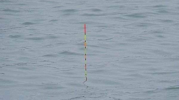 无钩调漂的正确方法