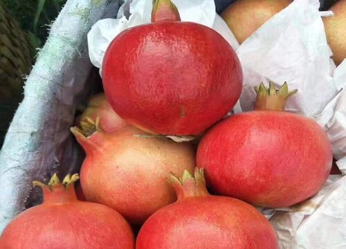 石榴怎么保鲜存放时间长些