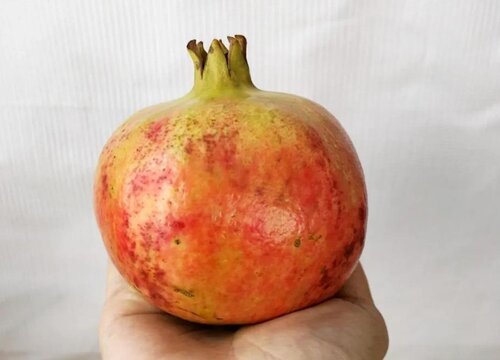 石榴怎么保鲜存放时间长些