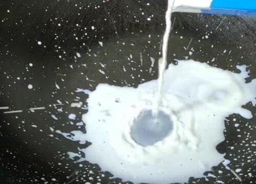 纯牛奶浇花的正确方法