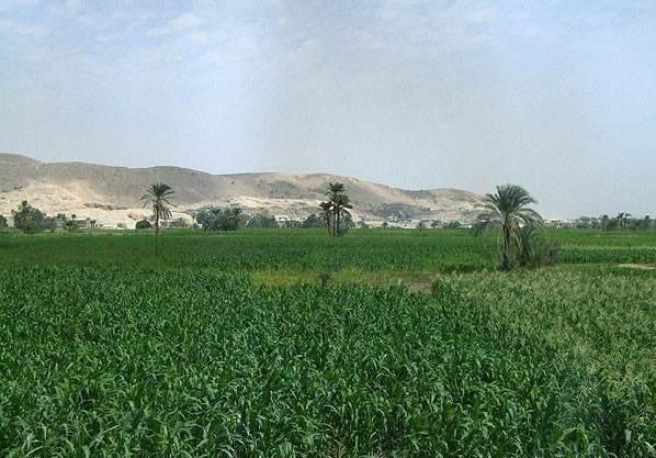 埃及是落后国家吗