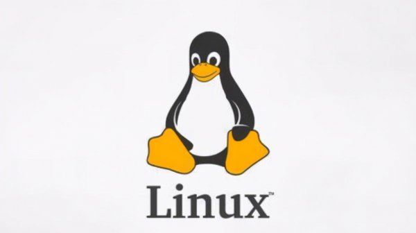 ubuntu和linux的区别
