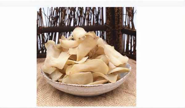 蒟蒻是什么植物