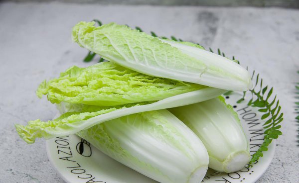 娃娃菜和大白菜有什么区别